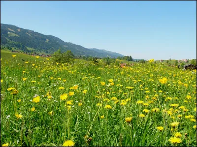 À terme, c'est le...