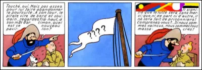 Quelques pages avant cette violente mêlée, les pirates avaient annoncé clairement leurs intentions : quel était le pavillon envoyé ?