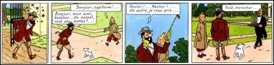 Néanmoins, Haddock se la joue grand seigneur, au grand dame de Tintin : ne voilà-t-il pas que, non content de pratiquer l'équitation, il se met à "consommer" force ...