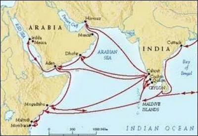 Quel chinois musulman (1371-1433), explorateur maritime, navigua jusqu'au Moyen-Orient et en Afrique de l'Est ?
