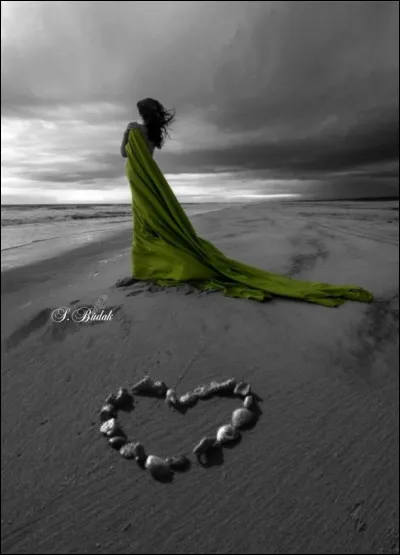 Qui chantait "Voilà combien de jours, voilà combien de nuits, voilà combien de temps que tu es reparti ?"