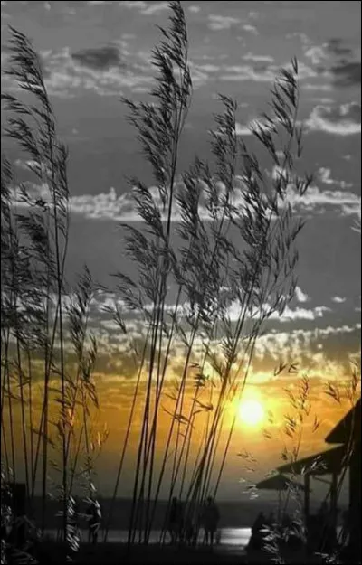 En Histoire qu'appelle-t-on "Le Jour J" ?