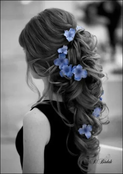 Qui chantait "Si tu la croises un jour, reviens me dire, dis-moi un peu si elle porte toujours dans les cheveux ses essences d'amour et tous mes rêves sur ses lèvres" ?