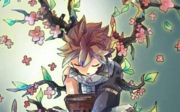 Quiz Fairy tail