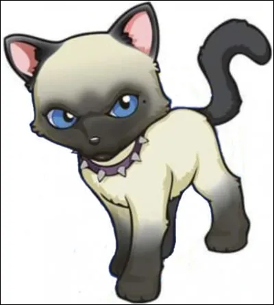 Combien de petits la femelle chatte fait-elle ?