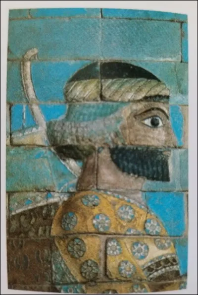 A quelle dynastie appartiennent les rois perses ?