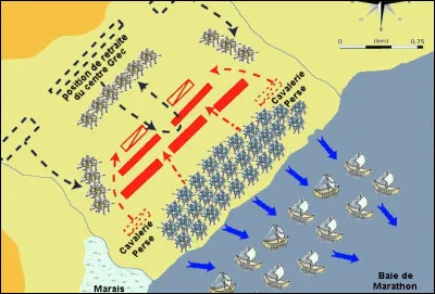 En -521, Darius 1er usurpe le pouvoir. Après avoir maté les révoltes de Ionie, il débarque en Grèce. Quelle bataille eu lieu alors en -490 ?