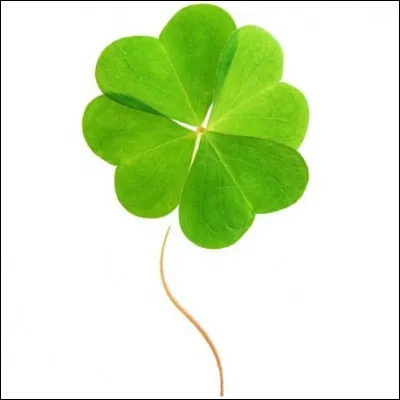 As-tu un objet porte-bonheur ?