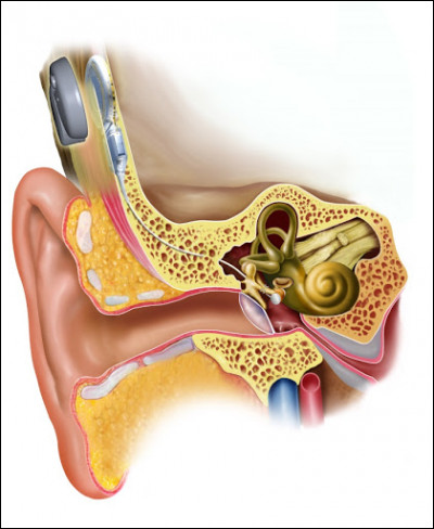 Des atteintes de l'oreille moyenne et du tympan peuvent être provoquées par :