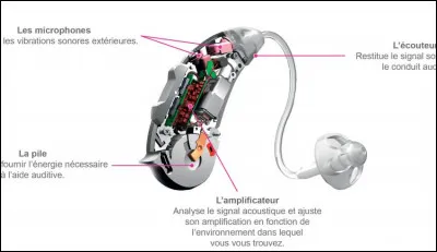 Le port d'une prothèse auditive :