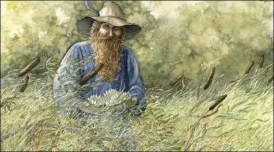 De quel Tom Tolkien a-t-il cont les aventures ?