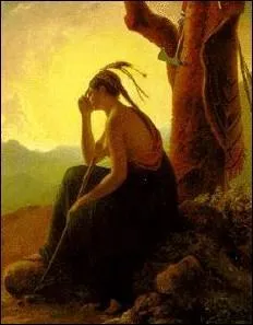 Quelle est la particularit du Mohican de Fenimore Cooper ?