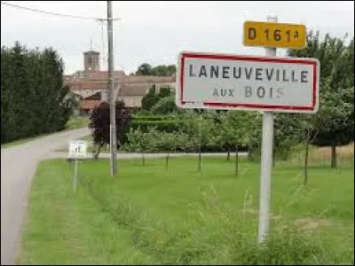 Nous sommes dans le Grand-Est à l'entrée de Laneuveville-aux-Bois. Village du Lunévillois, dans le nouveau canton de Baccarat, il se situe dans le département ...