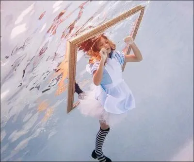 De l'autre ct du miroir est la suite de quelle histoire clbre ?