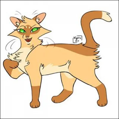 Quel est le nom de ce chat ?