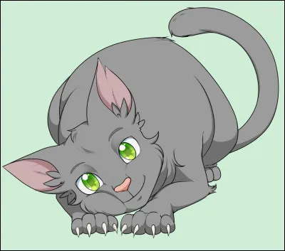 Quel est le nom de ce chat ?