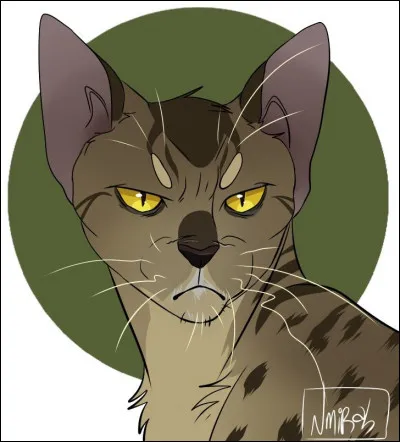 Quel est le nom de ce chat ?