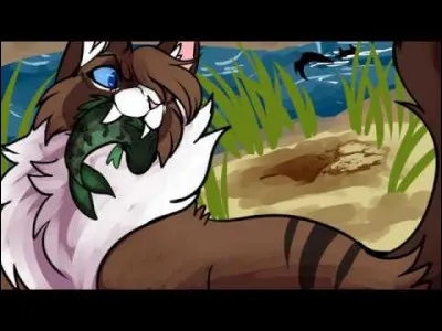 Quel est le nom de ce chat ?