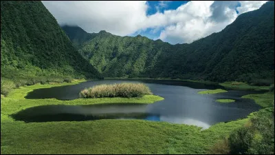 Quelle cause voudrais-tu défendre ?