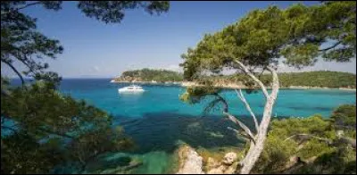 Quelle est la bonne orthographe de la mer qui borde la France, l'Italie, l'Espagne et l'Afrique ?