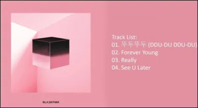 Quelle chanson du mini album "Square Up" préfères-tu ?