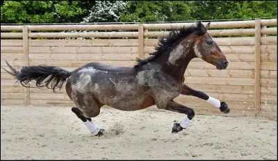 Comment peut-on lutter contre cette manie ?