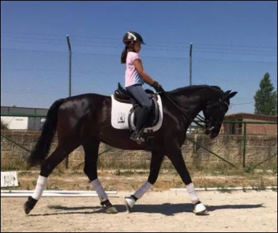 O&ugrave; se situent les balzanes ?