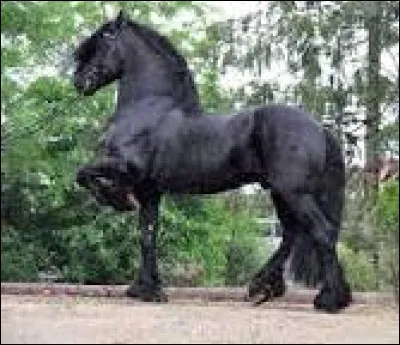 O&ugrave; se situe la couronne ?