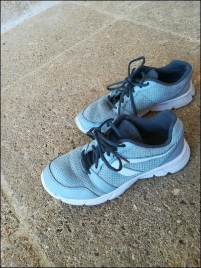 Quelle est la marque de chaussures la plus connue de France ?