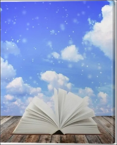 Ci comme ciel : qui a écrit "Les Racines du ciel" ?