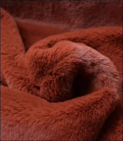 Quelle type de fourrure te donne le plus envie de t'y frotter ?