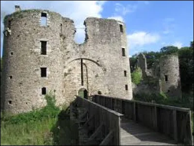 Nous sommes dans les Pays-de-la-Loire à l'entrée du château de Ranrouët, à Herbignac. Ville du pays de Guérande, elle se situe dans le département ...
