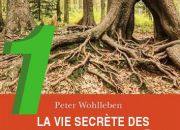 Quiz La vie secrte des arbres