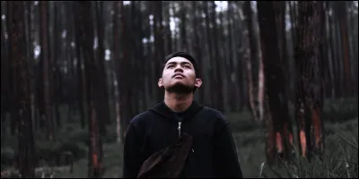 Qu'arrive-t-il lorsqu'un arbre est attaqué par des insectes, xylophages ou ravageurs ?