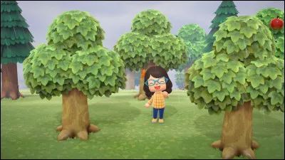 De quelle espèce est l'animal appelé baribal ?