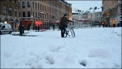 Quel tableau est surnommé "La Joconde du Nord" ?