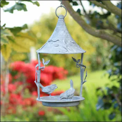 Qui a obtenu le César de la meilleure actrice pour son rôle dans le film "Se souvenir des belles choses" ?