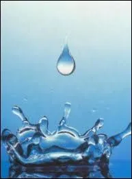 Alors qu'il est possible de ne pas manger pendant environ 1 mois, on ne peut pas se priver d'eau de 2  5 jours.