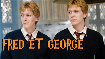 Combien de frères ont Fred et George ?