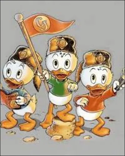 Dans quel club se sont inscrits Riri, Fifi et Loulou ?