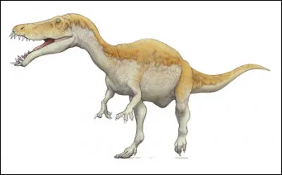 Masiakasaurus a été découvert...