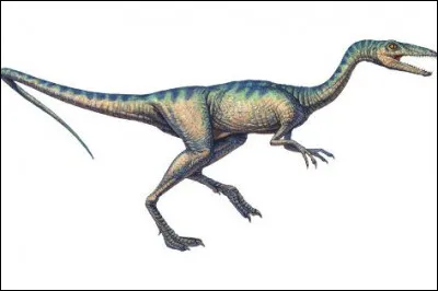 Compsognathus a été découvert...