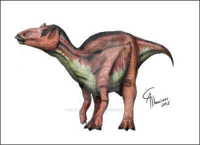 Maiasaura a été découvert...