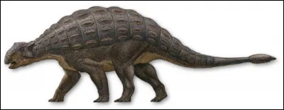 L'ankylosaure a été découvert...