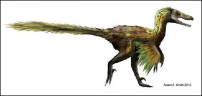 Le vélociraptor a été découvert...