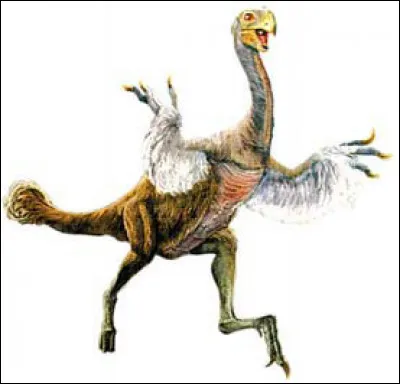 Le gigantoraptor a été découvert...