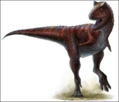 Le carnotaurus a été découvert...