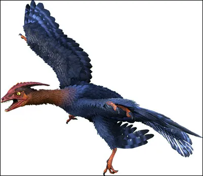 Le microraptor a été découvert...