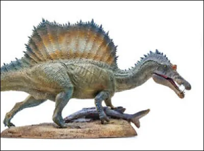 Le spinosaure a été découvert...