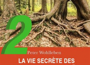 Quiz La vie secrte des arbres (2)